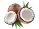 coconut1