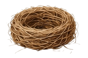 coconut3