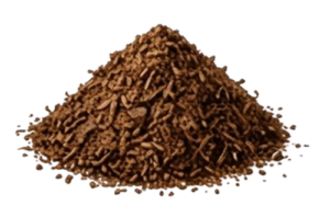 coconut4