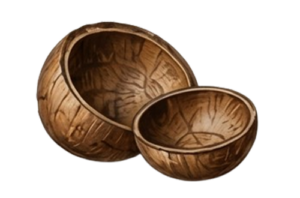 coconut5