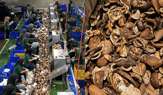 State of the art facilities produce high-quality derivaties
