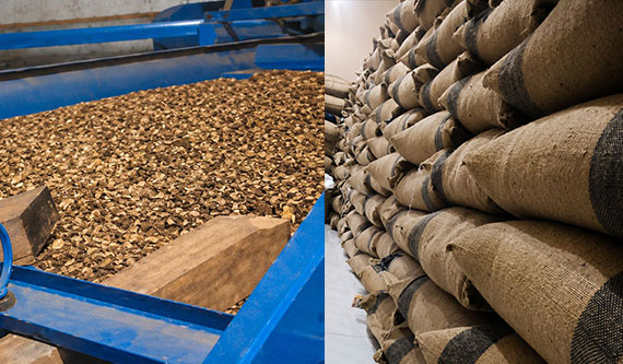 Professional handling and stable export preparation